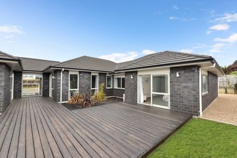 Photo of property in 31 Mataroa Crescent, Flagstaff, Hamilton, 3210