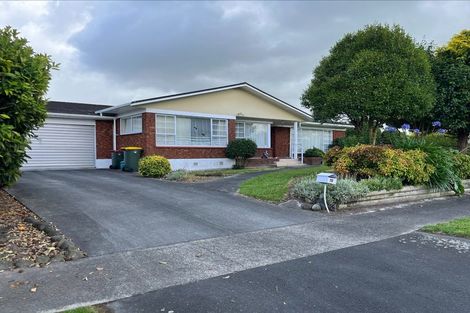 Photo of property in 19 Egmont Street, Chartwell, Hamilton, 3210