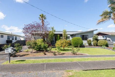 Photo of property in 108 Pipiroa Road, Ngatea, 3503