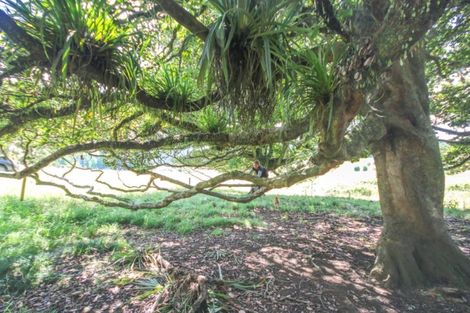 Photo of property in 401 Opouteke Road, Kaihu, Dargaville, 0379