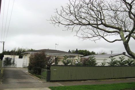 Photo of property in 597 Queen Street East, Levin, 5510