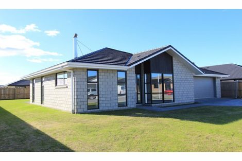 Photo of property in 8 Mustang Alley, Burleigh, Blenheim, 7201