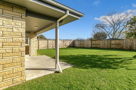 Photo of property in 64 Te Hono Street, Maungatapu, Tauranga, 3112