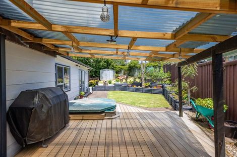 Photo of property in 127 Fairview Street, Chartwell, Hamilton, 3210