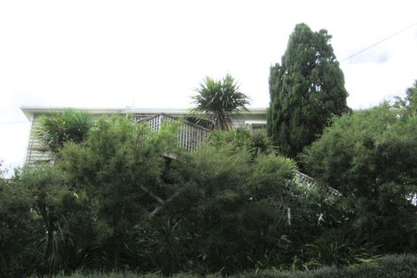 Photo of property in 3 Manley Terrace, Newtown, Wellington, 6021