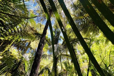 Photo of property in 877 Tiki Quarry Road, Preece Point, Coromandel, 3581