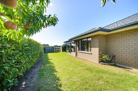 Photo of property in 39 Barling Street, Himatangi Beach, Foxton, 4891