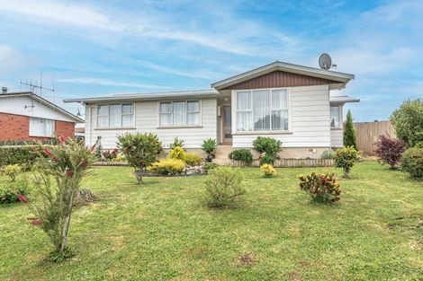 Photo of property in 14 Fergusson Street, Marton, 4710