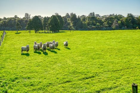 Photo of property in 68 Saltwater Creek Road, Rutherglen, Greymouth, 7805