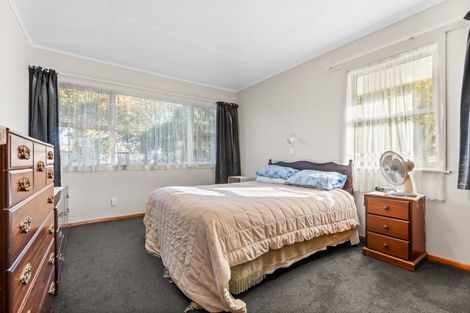 Photo of property in 17 Haswell Street, Eketahuna, 4900