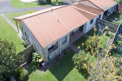 Photo of property in 4/12 Buchanan Street, Matamata, 3400