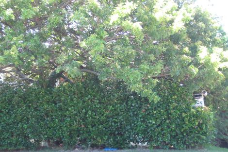 Photo of property in 17 Mayall Avenue, Beach Haven, Auckland, 0626