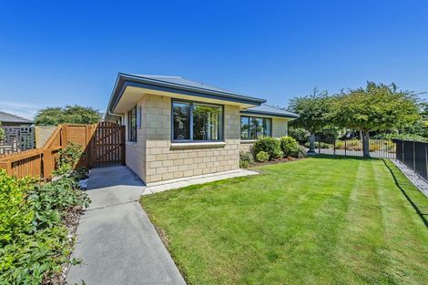 Photo of property in 35 Chapman Street, Leeston, 7632