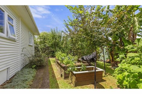 Photo of property in 23 Kennedy Street, Paeroa, 3600