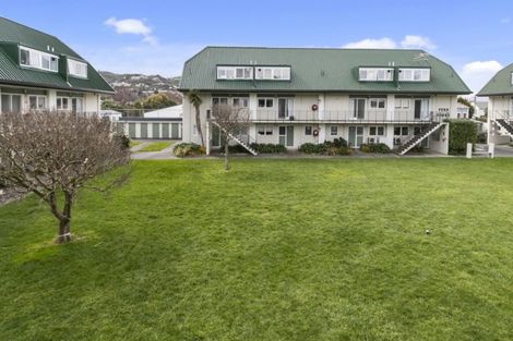 Photo of property in 6/19 Britannia Street, Petone, Lower Hutt, 5012
