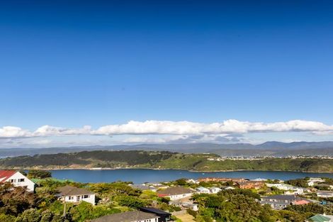 Photo of property in 59 Marewa Road, Hataitai, Wellington, 6021