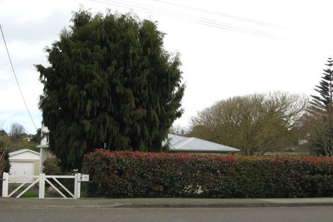 Photo of property in 219 Cambridge Street, Levin, 5510