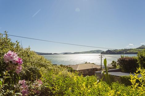 Photo of property in 17 Kiwi Street, Saint Leonards, Dunedin, 9022