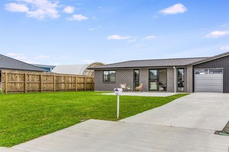 Photo of property in 109 Hinemoa Street, Levin, 5510