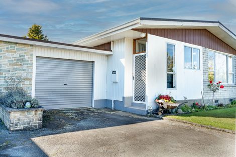 Photo of property in 29b Elizabeth Street, Masterton, 5810