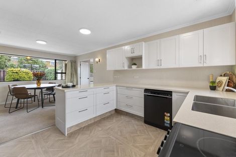 Photo of property in 46 Greenock Street, Kaikorai, Dunedin, 9010