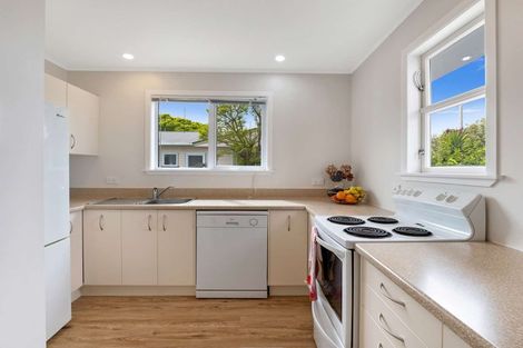 Photo of property in 113 Stanford Street North, Ashhurst, 4810