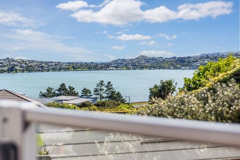 Photo of property in 56 John Burke Drive, Aotea, Porirua, 5024