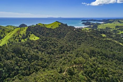 Photo of property in 31 Waitorupai Way, Matapouri, Whangarei, 0173