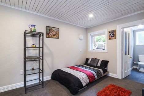 Photo of property in 45 Littlebourne Road, Roslyn, Dunedin, 9010