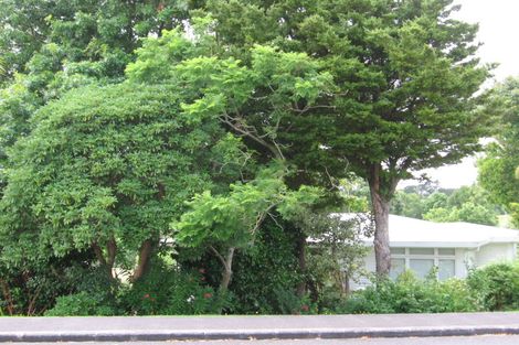 Photo of property in 4 Griffen Park Road, Mount Roskill, Auckland, 1041