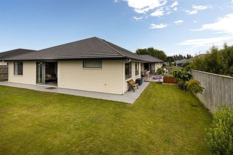 Photo of property in 15 Maeburn Street, Witherlea, Blenheim, 7201