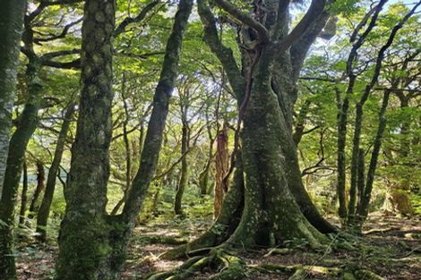 Photo of property in 326 Sainsbury Road, Pirongia, 3876