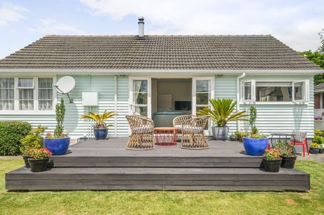 Photo of property in 57 Manson Street, Terrace End, Palmerston North, 4410