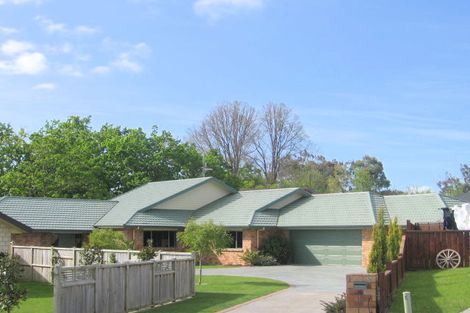 Photo of property in 16 Maple Place, Morrinsville, 3300