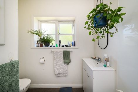 Photo of property in 246 College Street, West End, Palmerston North, 4412