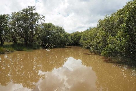 Photo of property in 65 Curtis Road, Rawene, Kaikohe, 0473