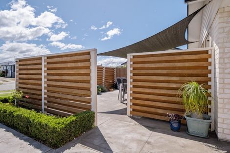 Photo of property in 3 Kilworth Place, Witherlea, Blenheim, 7201