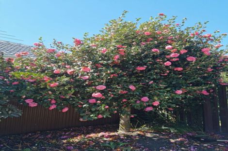 Photo of property in 43 Farrington Avenue, Bishopdale, Christchurch, 8053