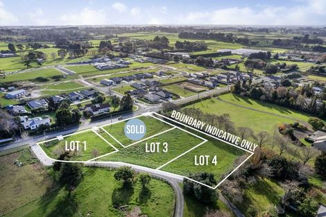 Photo of property in 48 Fairfield Road, Levin, 5510