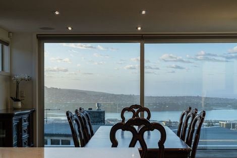 Photo of property in 29 Selkirk Street, Roslyn, Dunedin, 9010