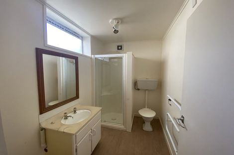 Photo of property in 160 Hanson Street, Newtown, Wellington, 6021