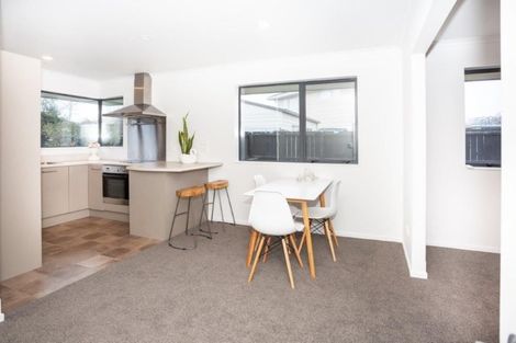 Photo of property in 31a Selwyn Street, Leeston, 7632