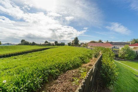 Photo of property in 12 Birmingham Street, Takaro, Palmerston North, 4412