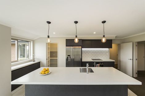 Photo of property in 161 Mount Taylor Drive, Feilding, 4775