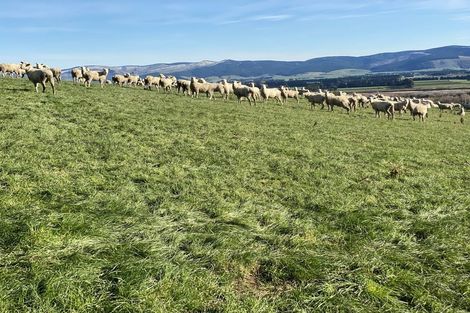 Photo of property in 125-127 Bell Road, Waiwhetu, Lower Hutt, 5010