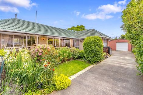 Photo of property in 41 Hindess Street, Halswell, Christchurch, 8025