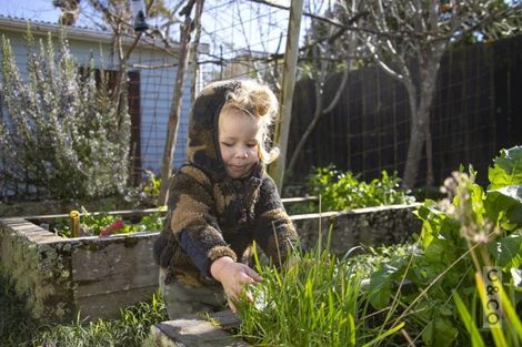 Photo of property in 15 Albert Street, Riverhead, 0820