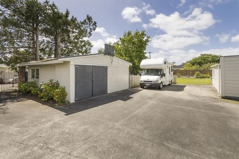 Photo of property in 60 Skerman Street, Marton, 4710