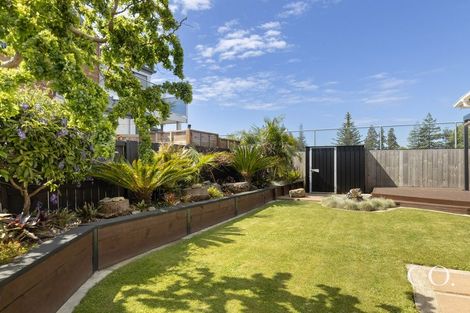 Photo of property in 64 Twentysecond Avenue, Gate Pa, Tauranga, 3112