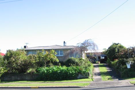 Photo of property in 48 Neal Street, Putaruru, 3411